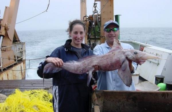 Denizin altnda yaayan canllara inanamayacaksnz