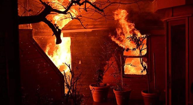 Daha nce Los Angeles belediye bakanl iin yaran milyarder Rick Caruso da, blgenin yangnlar nleme ve mdahale konusunda ciddi zafiyet iinde olduunu ifade etti.Caruso, "Yangn hidrantlarndan su gelmiyor. Bu itfaiyecilerimizin deil kentin kt ynetimi. Buradaki durum sanki 3. dnya lkesi gibi." ifadelerini kulland.