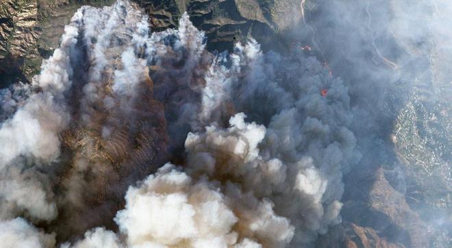 Yangnda evi kullanlamaz hale gelen aktr James Wood da sosyal medyadan, Demokrat isimleri hedef alarak, "Bu yangn ?iklim deiiklii? yznden deil, cahil aptal. Bunun nedeni, senin gibi liberal aptallarn (California Valisi) Gavin Newsom ve (Los Angeles Belediye Bakan) Karen Bass gibi liberal aptallar semesi. Birisi yangn ynetimi hakknda hibir eyden anlamyor, dieri ise su depolarn bile dolduramyor.? ifadesini kulland.