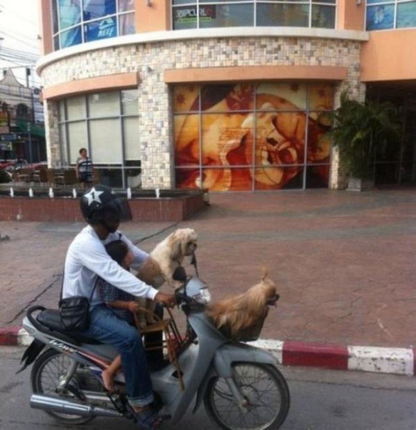 Bu fotoraflar yrekleri azlara getiriyor