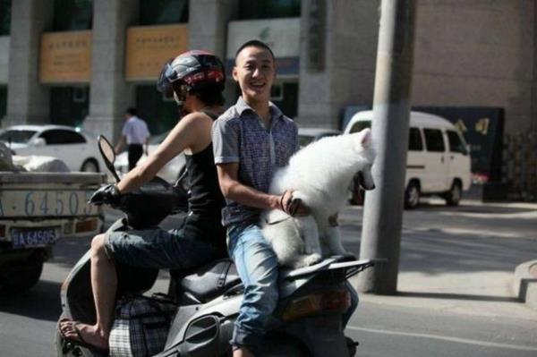 Bu fotoraflar yrekleri azlara getiriyor