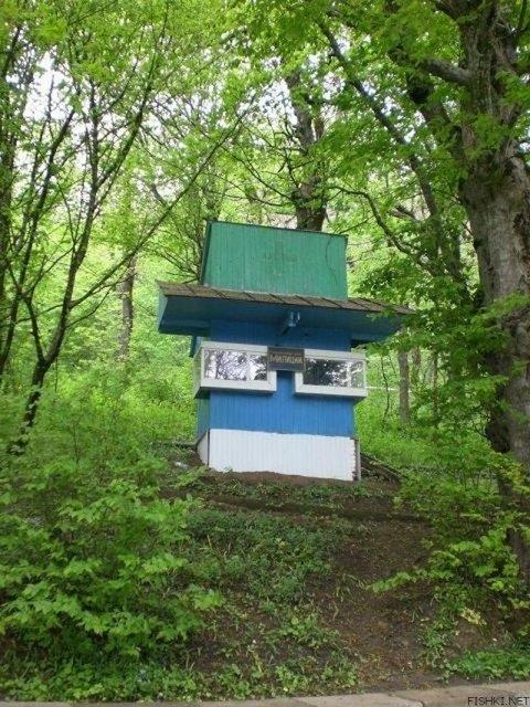 Mhendis ve mimarlarn tasarladklar 'ilgin' ev, i yerleri gibi yaptlar, normalin dnda olunca insanlar etkileyebiliyor.