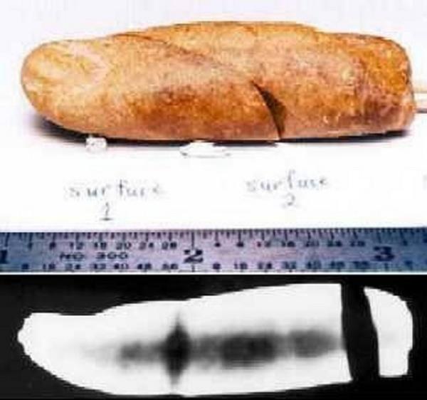 Bu cisim Kanada'nn Kuzey kutup blgesindeki Axel Heiberg adas eski fosiller koleksiyonunda bulunmutur. ncelemeler bunun bir insan parma fosili olduunu gsteriyor. Bu fosil 100 ile 110 milyon yl ncesine aittir (Creataceous jeolojik dnemi). Bu fosil " DM93-083 " numarasyla arivlenmitir. Rntgen nlaryla yaplan inceleme sonucunda yukardaki resimdeki siyah ksmlarn parmak kemiklerine ait olduu ortaya kmtr. Bu kadar eski zamanlarda insan yaam olabilir mi?