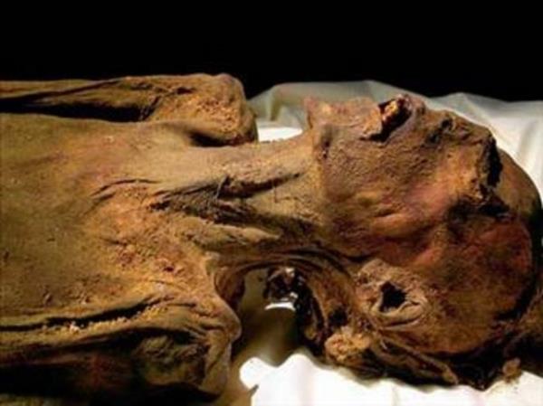 <p><b>Bozulmam papaz mumyas</b></p>  Orijinalliini koruyan sakall mumyann bandaki altn ta, belinde altn kemer, gsndeki balk ve kask blgesindeki kartal ekli zerindeki yazlarn yan sra, mumyann sa tarafnda da altn bir ok yer alyor. Tabutun ba ksmnda ise eitli yazlar bulunuyor.