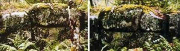 Yeni Zellanda 'da bulunan ok eski bir uygarla ait kusursuzca yerletirilmi talardan oluan duvarlar bulundu. Bu duvarlar yapan uygarlk hakknda en ufak bir bilgi yoktur.