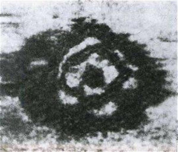 Bu daire eklindeki ta oluumlar 30 metre apndadr ve Loch Ness glnn dibinde grntlenmitir.