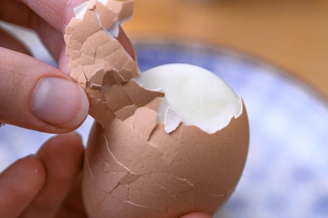ZENGİN BESİN DEĞERİ    Yumurtalar, insan vücudu tarafından kullanılabilen dokuz temel amino asidin tamamını içerdiği için kaliteli proteinin zengin bir kaynağıdır. Yumurtalarda bulunan diğer temel besinler arasında beyin fonksiyonları, metabolizma ve genel sağlık üzerinde önemli bir etkiye sahip olan B12 vitamini, riboflavin, selenyum ve kolin bulunur. Yumurtalarda sağlıklı yağlar ve sadece orta düzeyde kalori bulunur.