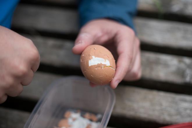 NE KADAR PROTEİNE İHTİYACINIZ OLDUĞUNU BİLİN    Protein ihtiyaçları, bir bireyin yaşam tarzına bağlı olarak önemli ölçüde değişir. Fiziksel olarak aktif olan, kuvvet antrenmanı yapan veya daha yüksek metabolik talepleri olan kişiler daha fazla proteine ​​ihtiyaç duyar. Örneğin sporcular, vücut ağırlıklarının kilogramı başına genellikle 1,2 ila 2,0 gram proteine ​​ihtiyaç duyarlar; bu da 70 kg ağırlığındaki bir sporcunun günlük 84 ila 140 gram proteine ​​ihtiyaç duyabileceği anlamına gelir. Bu gibi durumlarda, iki yumurta ihtiyaçlarının yalnızca küçük bir kısmını karşılar ve et, balık, süt ürünleri, baklagiller veya bitki bazlı alternatiflerden ek protein kaynaklarına ihtiyaç duyarlar.    Proteinin önemli faydalarından biri, açlığı kontrol etmeye ve aşırı yemeyi önlemeye yardımcı olan tokluktaki rolüdür. Protein açısından zengin öğünler, sindirimi yavaşlatarak ve kan şekeri seviyelerini dengeleyerek sizi daha uzun süre tok tutar. İki yumurta tokluğa katkıda bulunurken, daha yüksek proteinli bir öğün, gün boyunca iştahı azaltmada daha da etkili olabilir. Kilo vermeyi veya kas kazanmayı hedefleyenler, metabolizmayı ve kas tutulmasını en üst düzeye çıkarmak için iki yumurtanın sağladığının ötesinde protein alımlarını artırmaları gerekebilir.