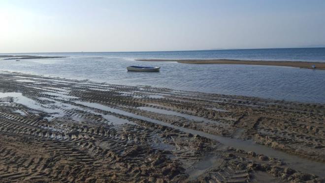 Deniz ekilmesi, denizin normal seviyesinden daha dk bir seviyeye inmesi olayn ifade eder. Deniz ekilmesi, denizin normal seviyesinden aniden ve gzle grlr ekilde geri ekilmesidir. Bu olay, denizin belli bir blgesinde suyun hzla geri ekilmesi sonucu, ky eridinin byk bir ksmnn ortaya kmasyla fark edilir.