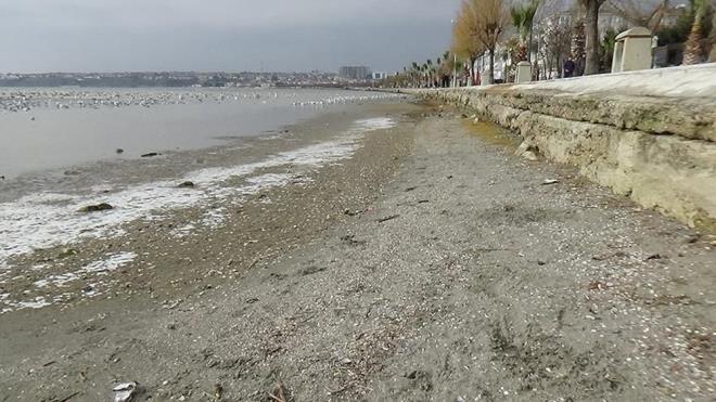 3. Kresel Isnmann Deniz ekilmesine Neden Olduu ddias    Gereklik Pay: Yanltcdr. Kresel snma genel olarak buzullarn erimesi nedeniyle deniz seviyesinin ykselmesine yol aar. Ancak baz blgelerde geici deniz ekilmeleri yaanabilir.    4. Deniz ekilmesi Depremin Habercisidir    Gereklik Pay: Ksmen dorudur. Byk yeralt hareketleri (rnein bir fay hattnn krlmas) deniz tabannda ykselme veya kme yaratabilir. Ancak her deniz ekilmesi deprem olaca anlamna gelmez.