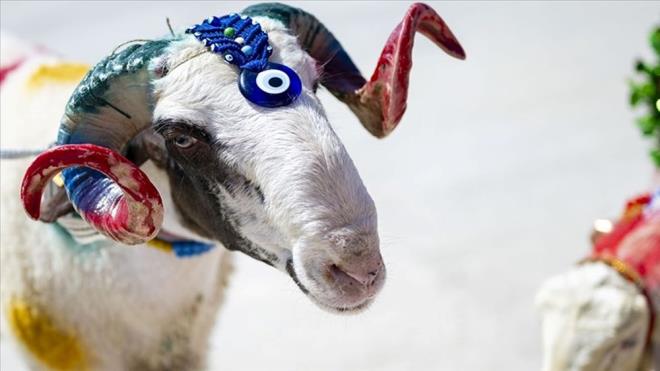 Kurban Bayram'nn tarihine ynelik sorgulamalar son zamanlarda en ok merak edilenler arasnda yer alyor. 2025 Kurban Bayram'nn ne zaman idrak edileceinin yan sra bayram tatilinin ne zaman balayaca ve ka gn srecei de merak konusu oldu. 4 gn sren bayram tatiline odaklanan vatandalar aratrmalarna hz verdi. te 2025 Kurban Bayram hakknda bilgiler...