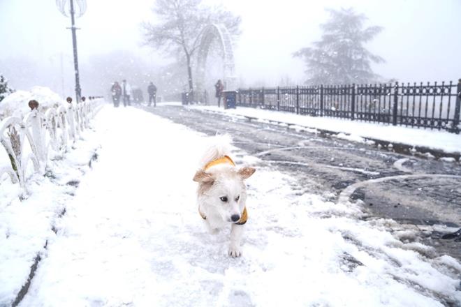 18 ubat 2025 tarihinde yaymlanan rapora gre, yarn le saatlerinden itibaren etkili olacak sert hava koullar sebebiyle stanbullularn tedbirli olmas istendi.    Sibirya zerinden gelen souk hava dalgalar nedeniyle stanbul?da scaklklarn hzla decei ve frtna ile birlikte kar yann etkili olaca akland.