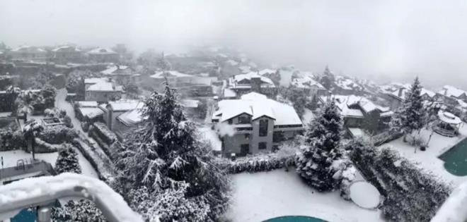 CEYLAN    Trkc Ceylan da Acarkent'teki evinden bu grntleri paylat.