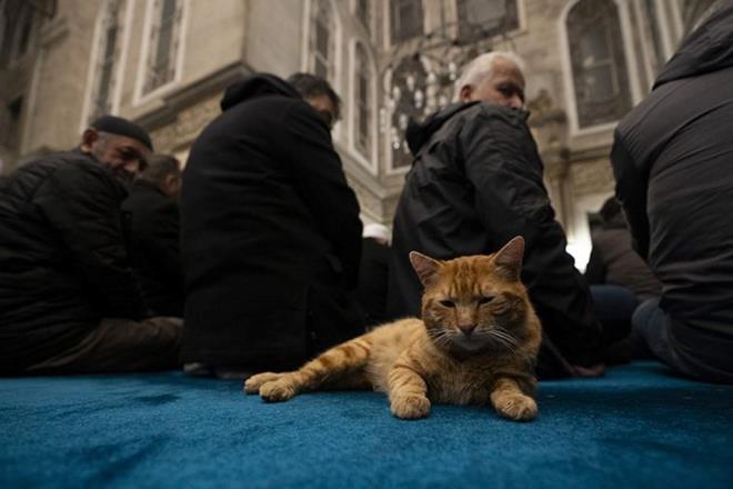 LK ORU NE ZAMAN TUTULACAK?  <p>  Ramazan aynn gelmesiyle birlikte ilk sahura 28 ubat Cuma gnn 1 Mart Cumartesi gnne balayan sabah kalklacak.<p>    Bylelikle ilk oru 1 Mart 2025 Cumartesi gn tutulacak.