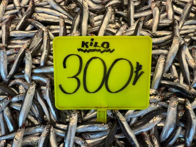 Balk Metin okgezenler de kar ya sonras havalarn dzelmesiyle birlikte baln bollatn ifade ederek, "Teknelerimiz avlanmaya balad, Karadeniz'de hamsicilik yaplyor. Bugnk fiyatlar 300-400 TL arasnda, ancak yarn biraz daha debilir.