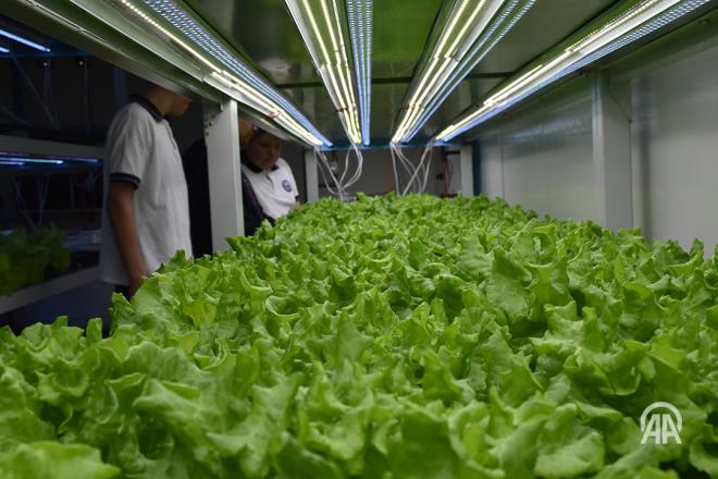 YELLKLER    Koyu yaprakl yeillikler, zellikle spanak, kara lahana ve paz, vitaminler, mineraller ve antioksidanlarla doludur. Bu yiyecekler cilt sal ve krklk azaltmada kullanlan yksek miktarda K vitamini ierir.    Yeil yaprakl sebzeler ayrca vcudu temizleyen ve daha salkl grnen bir cilt salayan klorofil ierir. Bu yiyeceklerin besin gcnden yararlanmann bir yolu olarak diyetinize bir salata veya yeil smoothie ekleyin.