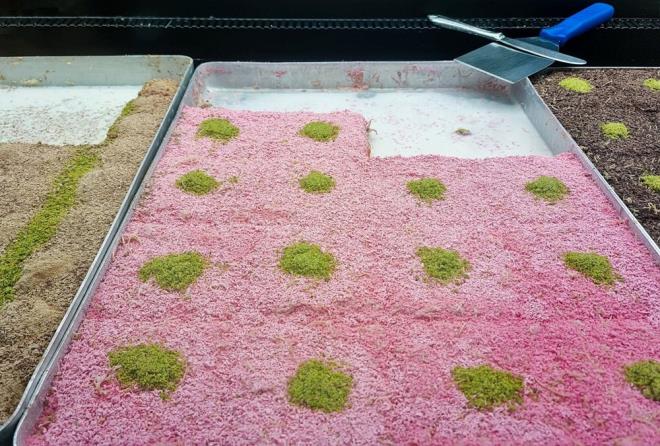 KOLATA GLLA TARF  <br>  Malzemeler:  <br>  10 yaprak glla  1 litre st  1 su barda toz eker  100 gr bitter veya stl ikolata (eritilmi)  1 yemek ka kakao (istee bal)  1 su barda dvlm fndk veya ceviz ii  1 ay ka vanilin (istee bal)  <br>  zeri iin:  <br>  Bitter veya stl ikolata rendesi  Antep fst veya fndk krklar  ilek veya muz dilimleri (istee bal)