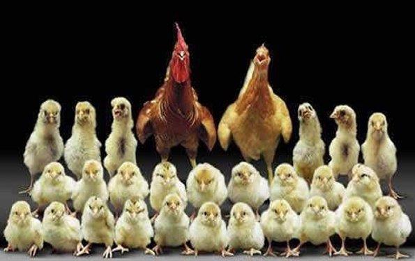 Listenin 21'inci srasnda bir ey paylaacaklarnda bunu mutlaka konuyla ilgili bir resim, e-card veya kalp cmleyle ssleyenler yer alyor.