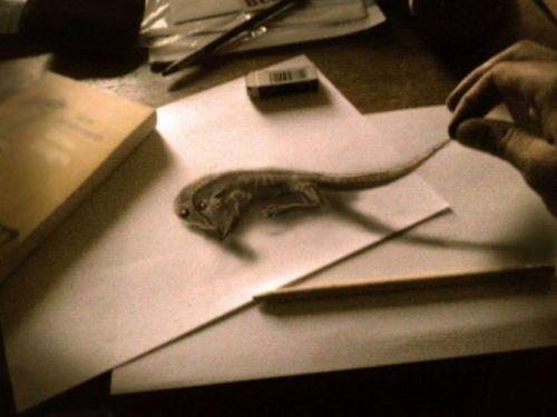 Kara kalem almas olduuna inanmak zor