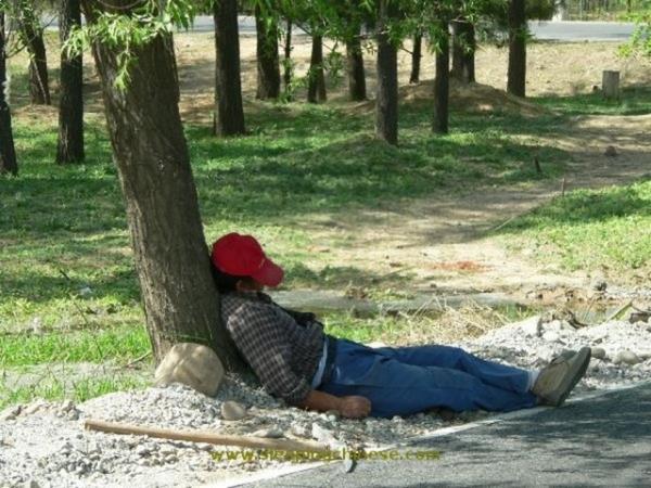 Youn tempoya dayanamayan insanlarn uykuya yenik dtkleri anlar grenleri glmsetti