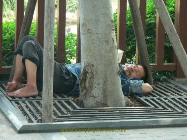 Youn tempoya dayanamayan insanlarn uykuya yenik dtkleri anlar grenleri glmsetti