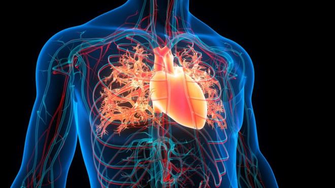 EGZERSZ VE KASLARDAK YA SEVYES    Egzersiz yapmak, kaslardaki ya seviyelerini drmeye yardmc olabilir. Florida?daki Advent Health Translational Research Institute'n bilimsel direktr Dr. Bret Goodpaster, kilo verme ve egzersiz programlarna katlan kiilerin kaslarndaki yadan kurtulduklarn belirtiyor. Ayrca, yaplan bir almada, egzersiz yapan yal bireylerin uyluk kaslarndaki ya seviyelerinin artt gzlemlenmemi, egzersiz yapmayanlarda ise art gzlemlenmitir.