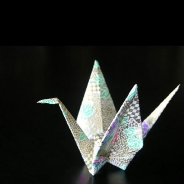 Katlayn Bir miktar kat edinin ve origami katlamay renin.