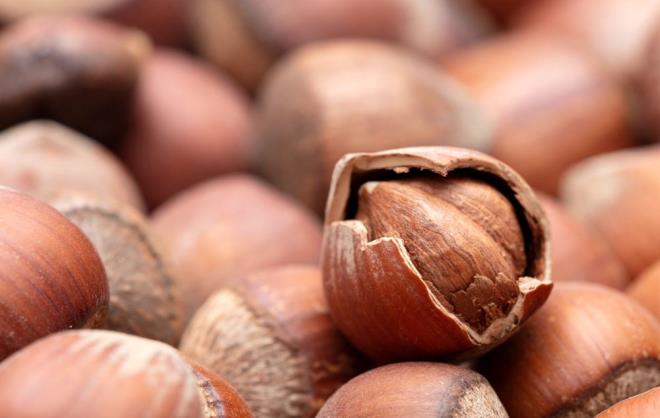 FINDIK    Fndk sadece magnezyum asndan deil, ayn zamanda bir dier temel mineral olan selenyum asndan da zengindir. Sadece bir avu (yaklak 6 fndk) yaklak 107 mg magnezyum salar. Fndklar i veya hafife kavrulmu olarak tketildiinde en iyisidir. Kalori asndan youn olduklar iin, bunlar ll bir ekilde tketmek nemlidir. Bunlar kark bir kuruyemi karmnn paras olarak tketmek eitlilik salayabilir ve magnezyum almn artrabilir.