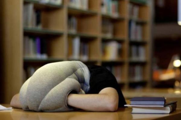 <P>Yln cad: Devekuu Yast!</P>  <P>spanya&#8217;nn bakenti Madrid merkezli Studio KG her yerde uyumaya yarayan bir yastk tasarlad.Yastk, yumuak dokusu ve kollarn sokulabilecei delikleriyle rahat bir uyku sunuyor. Yastn gz ksm kapal olmasna ramen nefes almak iin az ksm ak braklyor. Seri retime geirmek isteyen firma internet zerinden kampanya balatt. Kampanyada imdiden yaklak 90 bin dolar topland.</P>