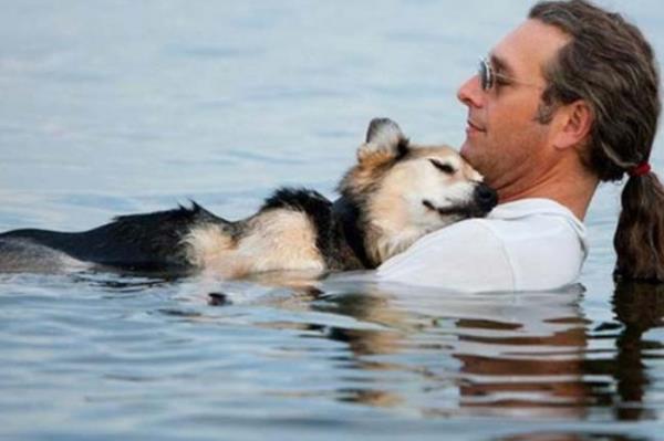 <P>Byk Dostluk Sona Erdi</P>  <P>                            ABD&#8217;de hasta kpeinin arlarn dindirmek iin onu her akam glde kucanda uyutan John Ungar&#8217;n kpei Schoep hayatn kaybetti. Eklem iltihab olan Schoep&#8217;n arlarn dindirmek iin onunla her akam gle giren Unger&#8217;in, kpeini uyuturken ekilen karesi Facebook&#8217;ta ortaya kmt. Karlksz sevgiyi anlatan kare, bugne kadar milyonlarca kii tarafndan paylald. ABD</P>