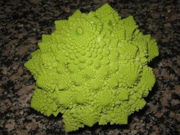 Eer bu iki sebzeyi seviyorsanz, eminiz ki ?romanescu? isimli bu sebzeyi de seversiniz