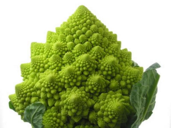 Romanescu: Karnbahara benzeyen bu bitki brokoliyi de andryor.