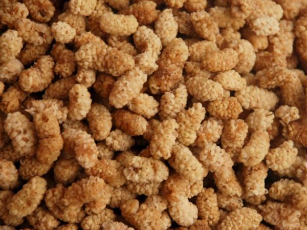 DUT: Kanszlk ekenlerin bolca yemesi gerekir.