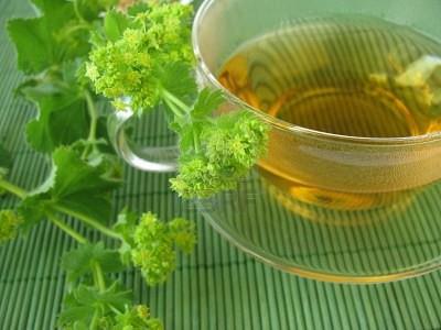 ARSLANPENES: ok fazla bilinmeyen arslanpenesi otunun ay kanszla iyi gelir.