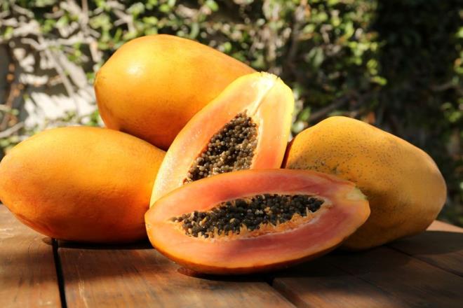 KARACER VE KALP SALIINA DESTEK    Papaya, folat, potasyum ve lif asndan zengindir. Bu besin maddeleri, kan basncn ve kolesterol seviyelerini dzenlemeye yardmc olur. Ayrca, papaya ierdii antioksidanlar sayesinde iltihaplar azaltarak karacier fonksiyonunu destekler. Eer son zamanlarda kendinizi yorgun veya "kt" hissediyorsanz, bunun nedeni karacierinizin dinlenmeye ihtiyac olabilir. Gnnze papaya ile balamak, karacierinizin saln iyiletirmenin bir yolu olabilir.  <br>  ALIK STEN AZALTMAK  <br>  Papaya, doal olarak tatl olmasna ramen dk glisemik indekse sahiptir. Bu, kan ekerinizi hzla ykseltmedii ve daha uzun sre tok hissetmenizi salad anlamna gelir. Eer gn ortasnda alk veya tatl istekleriyle mcadele ediyorsanz, papaya bu istekleri kontrol altna almanza yardmc olabilir.
