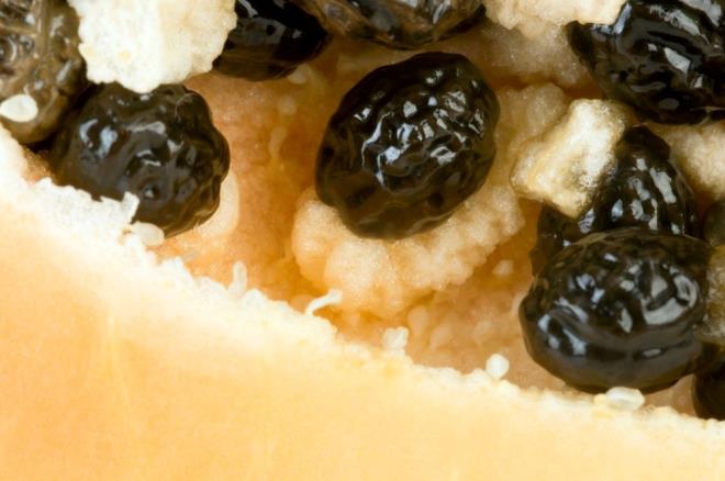 PARLAK CLT N DOAL BR KAYNAK    yi bir cilt sal, barsaklarnzla balar. Papaya, C vitamini, beta-karoten ve antioksidanlar asndan son derece zengindir. Bu bileenler, kolajen retimini destekler ve serbest radikallerle savaarak cildin yenilenmesine yardmc olur. Zamanla, sabahlar papaya yeme alkanl, daha salkl, daha yumuak bir cilt ve doal bir parlaklk anlamna gelir.