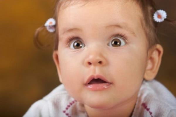 Damla- Bir svnn kk parac