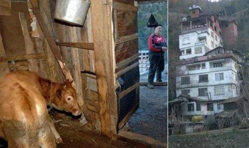 Doktorun dana etiyle beslen dedii emekli retmen, kasaba para yetitiremeyince evinin terasna ahr yapt...