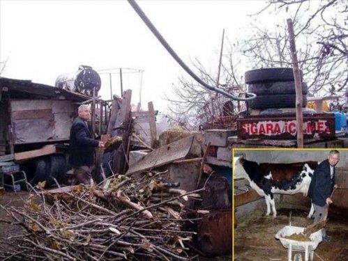 Zonguldak Ereli'ye bal Sleymanbeyler Ky'nde yaayan Recep Gnaydn, hayvan gbresinden elde ettii metan gazyla "tp gaz" ihtiyacn gideriyor.