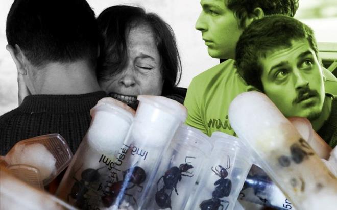 Dou Afrika lkesi Kenya?da aralarnda iki Belikalnn da olduu drt gen, aralarnda binlerce canl kralie karncann da olduu karncalar lkeden karmaya altklar gerekesiyle 7 bin dolar akn fazla para cezasna arptrld.