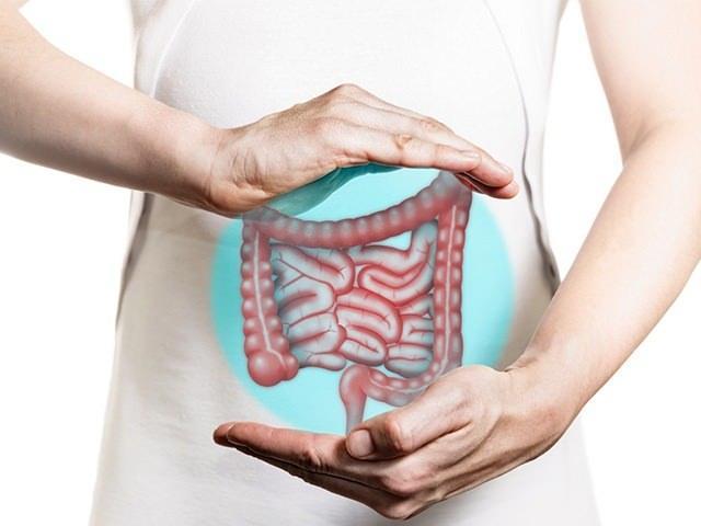 Barsak saln iyiletiren bu beslenme dzeni, kan basnc ve kolesterol dzeylerini drrken, iltihaplanma, kilo ve besin emilimi gibi fonksiyonlar da dengede tutuyor.