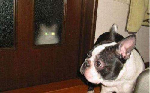 te amalanan kareleri bozan pozlar.