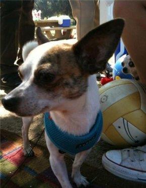 te amalanan kareleri bozan pozlar.