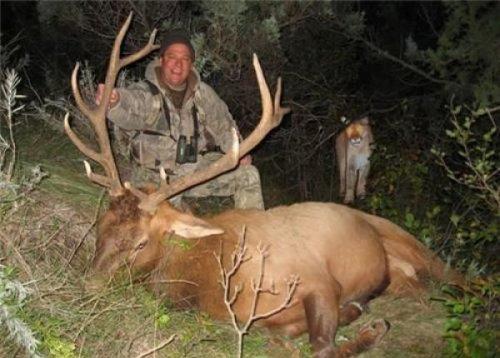 te amalanan kareleri bozan pozlar.