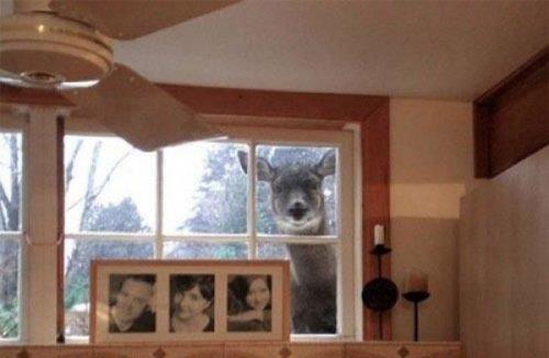 te amalanan kareleri bozan pozlar.