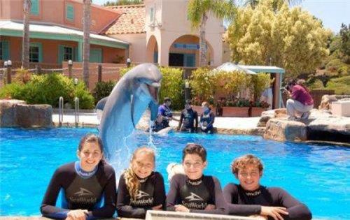 te amalanan kareleri bozan pozlar.