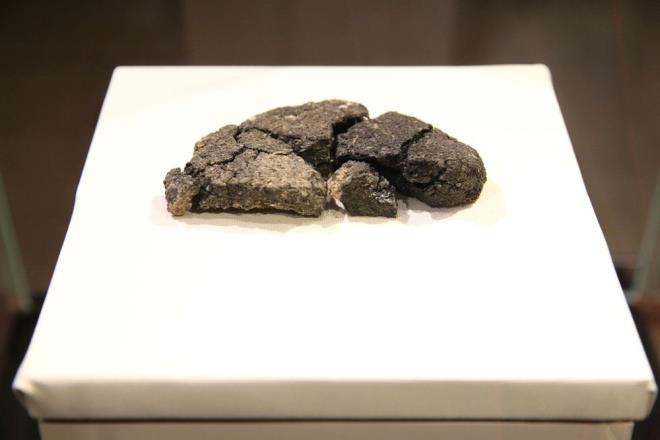 Trkteki, ekmekte ok iri taneli buday kalntlar grdklerine dikkati ekti.    Bu ekmein hzl pitiini, yandn ve bir taraftan da mayalandn gsteren mikroskop incelemelerinin olduunu anlatan Trkteki, "Buradan budayn trn saptadk. 'Gernik buday' dediimiz, hala var olan ancak retimi olduka az bir tr budayla karlatk. Gernik buday, ekmein neredeyse yzde 90'n ieriyor. Ancak iri paralar halinde. Tabii ki tme ilemi zor bir ilem bu dnem iin. Bir bazalt ta zerinde tlyor. Bu nedenle olduka iri paralar halinde karmza kyor." dedi.    Prof. Dr. Trkteki, ekmekte "gernik buday" dnda mercimein de bulunduunu bildirdi.