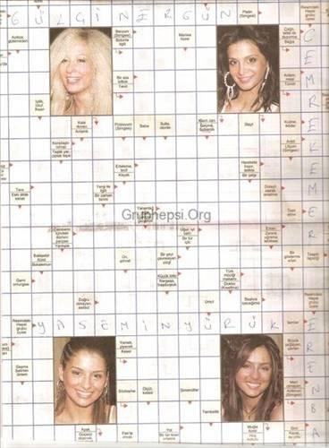 Bulmacalardaki resimlere byk,sakal izebilmek