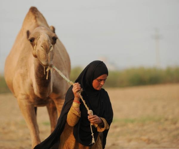 Klasik fkh kitaplarnda konu byle alnm olmakla birlikte, gnmzde yolculuk imkn ve artlar byk lde deimitir. Bayram tatilini frsat bilerek yurt ii veya yurt d geziye kan, yazla giden, memleketine giden kimsenin durumu farkldr. Bu durumdaki kimselerin sz konusu ruhsattan yararlanma yerine, ya nceden gerekli tedbirleri alarak vekleten kurban kestirmesi ya da bulunduu yerde kurban kesmesi daha isabetlidir.