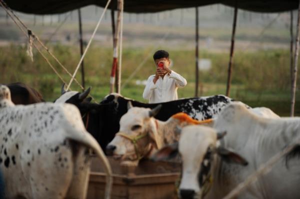 2.Hr olmak, kle olmamak.